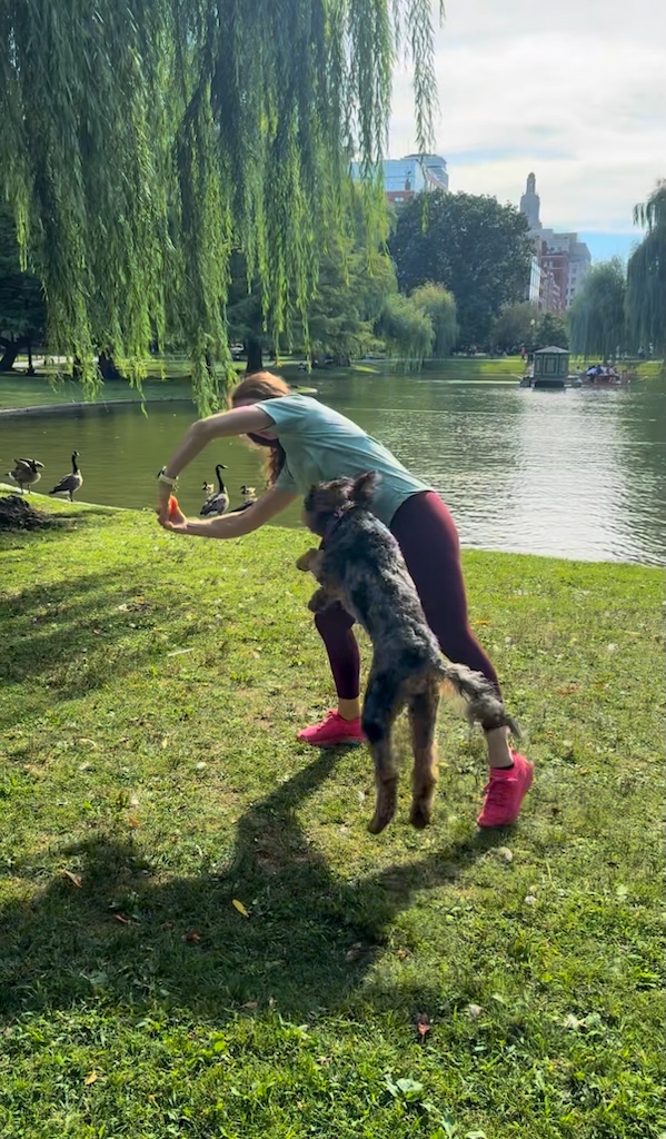 Item: Trick training - hoop jump | Details: Tully demoing freestyle circle trick