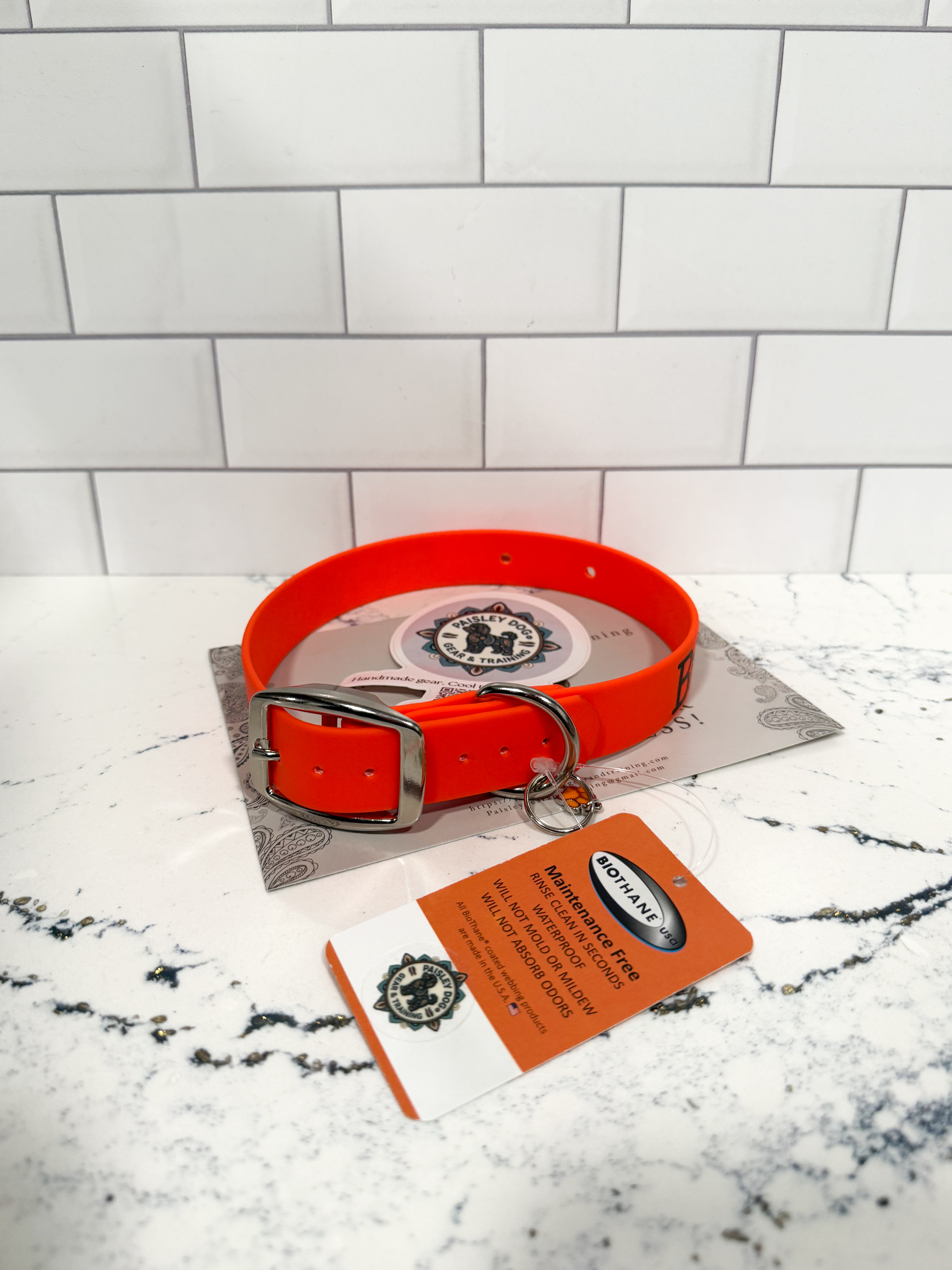 Item: Custom buckle collar | Width: 1 in | Colors: Orange 522 | Hardware: silver | Custom: Personalized name and phone; made with holes for an invisible-fence attachment