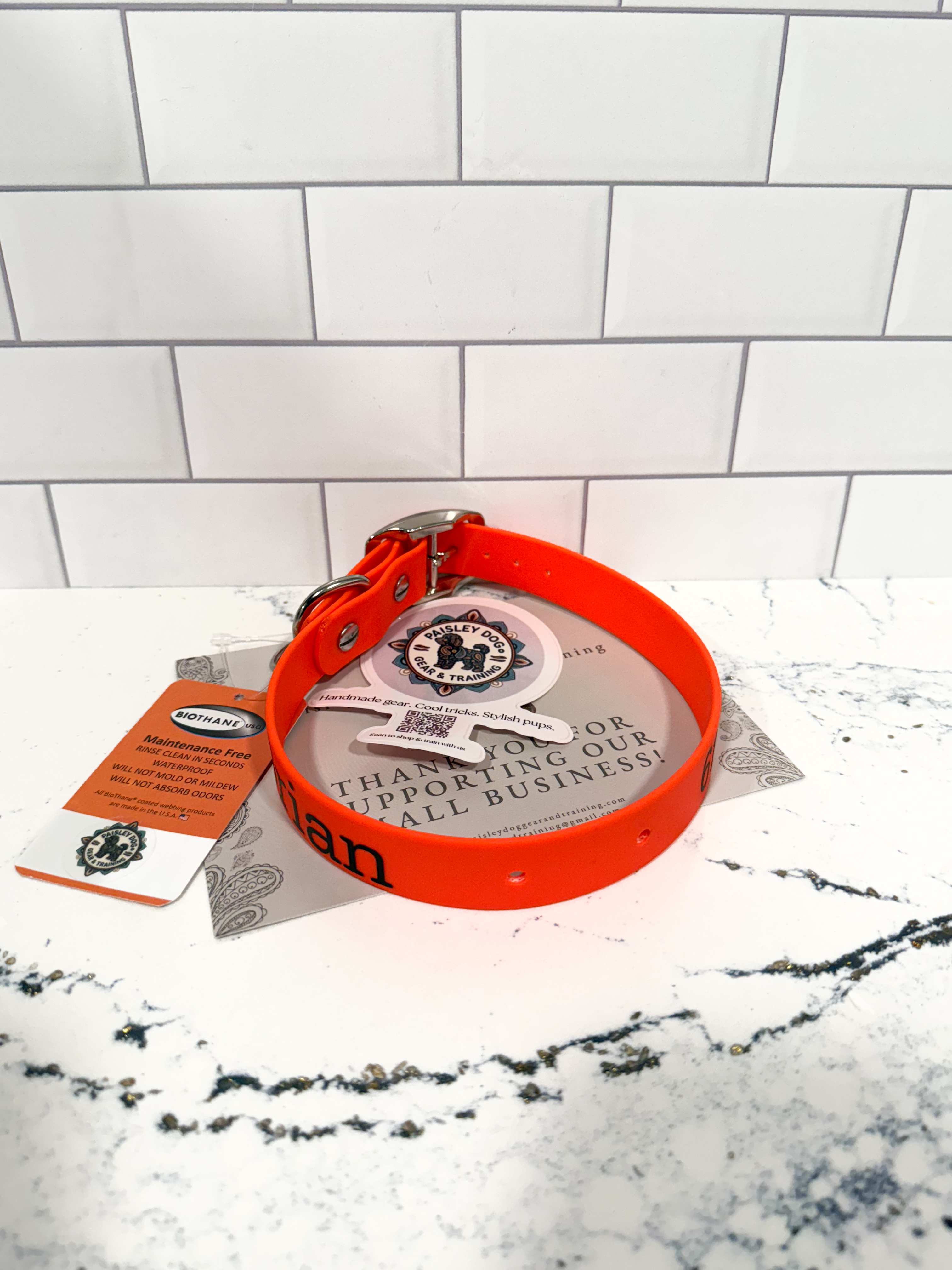 Item: Custom buckle collar | Width: 1 in | Colors: Orange 522 | Hardware: silver | Custom: Personalized name and phone; made with holes for an invisible-fence attachment