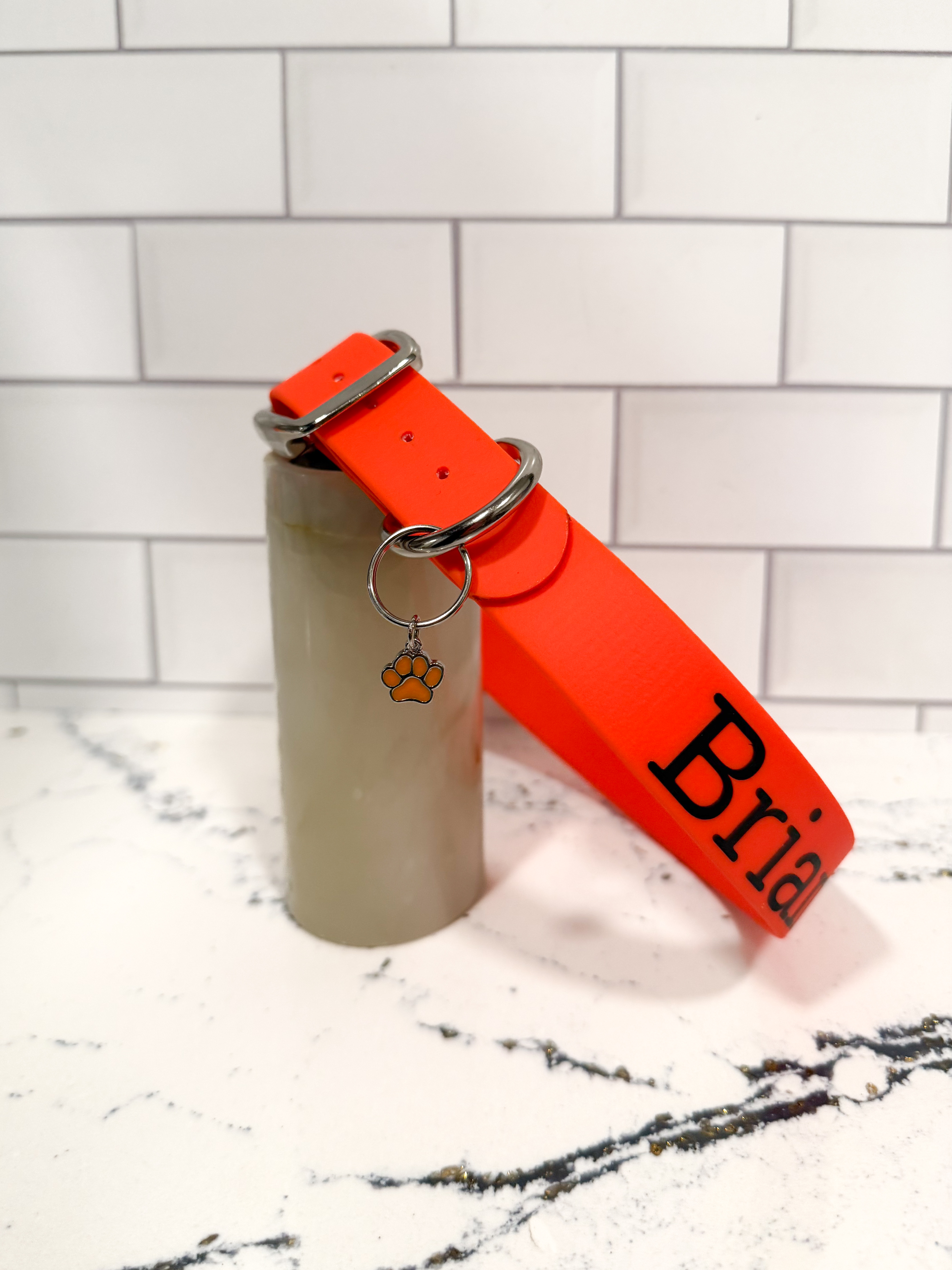 Item: Custom buckle collar | Width: 1 in | Colors: Orange 522 | Hardware: silver | Custom: Personalized name and phone; made with holes for an invisible-fence attachment