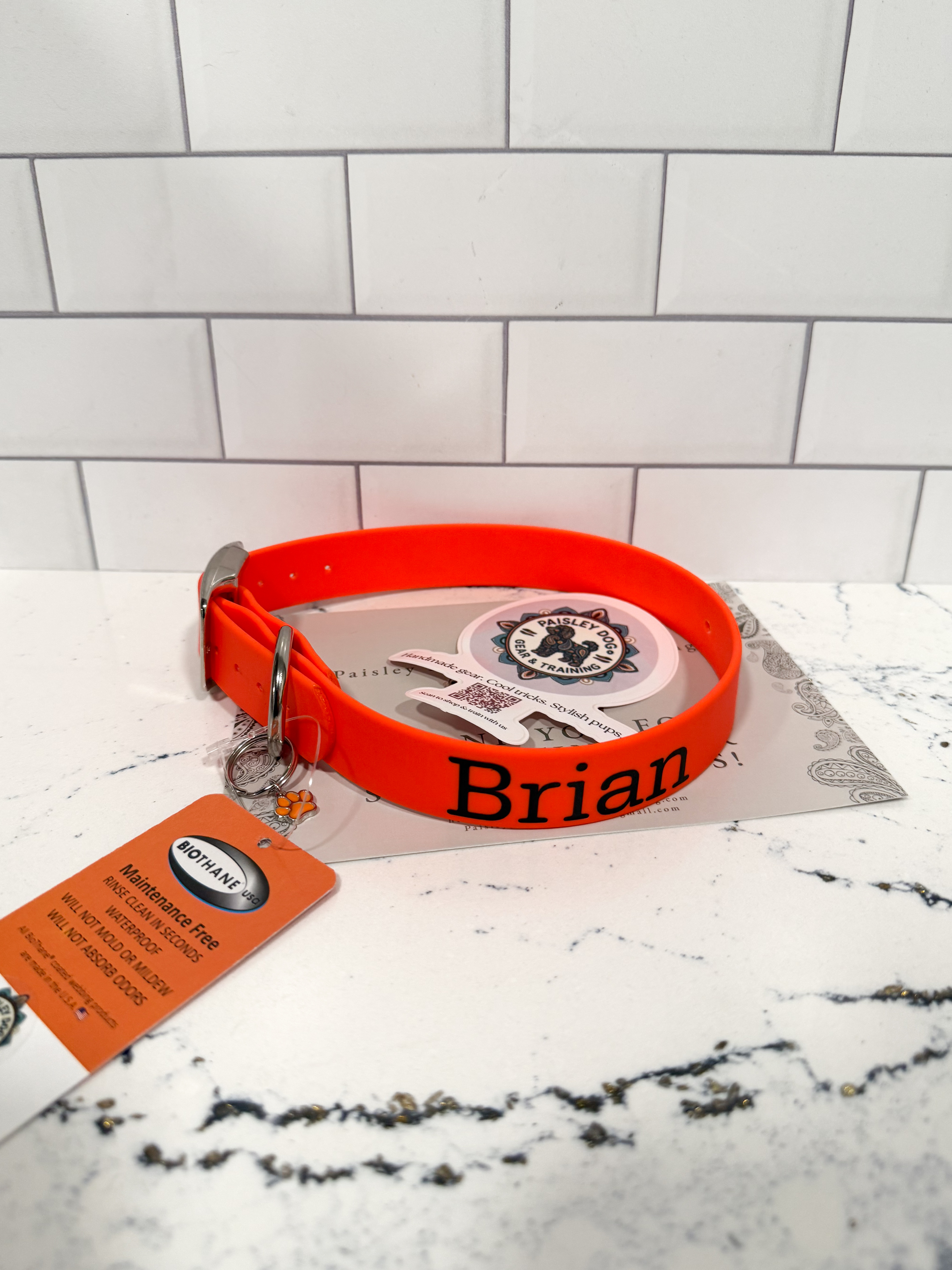Item: Custom buckle collar | Width: 1 in | Colors: Orange 522 | Hardware: silver | Custom: Personalized name and phone; made with holes for an invisible-fence attachment