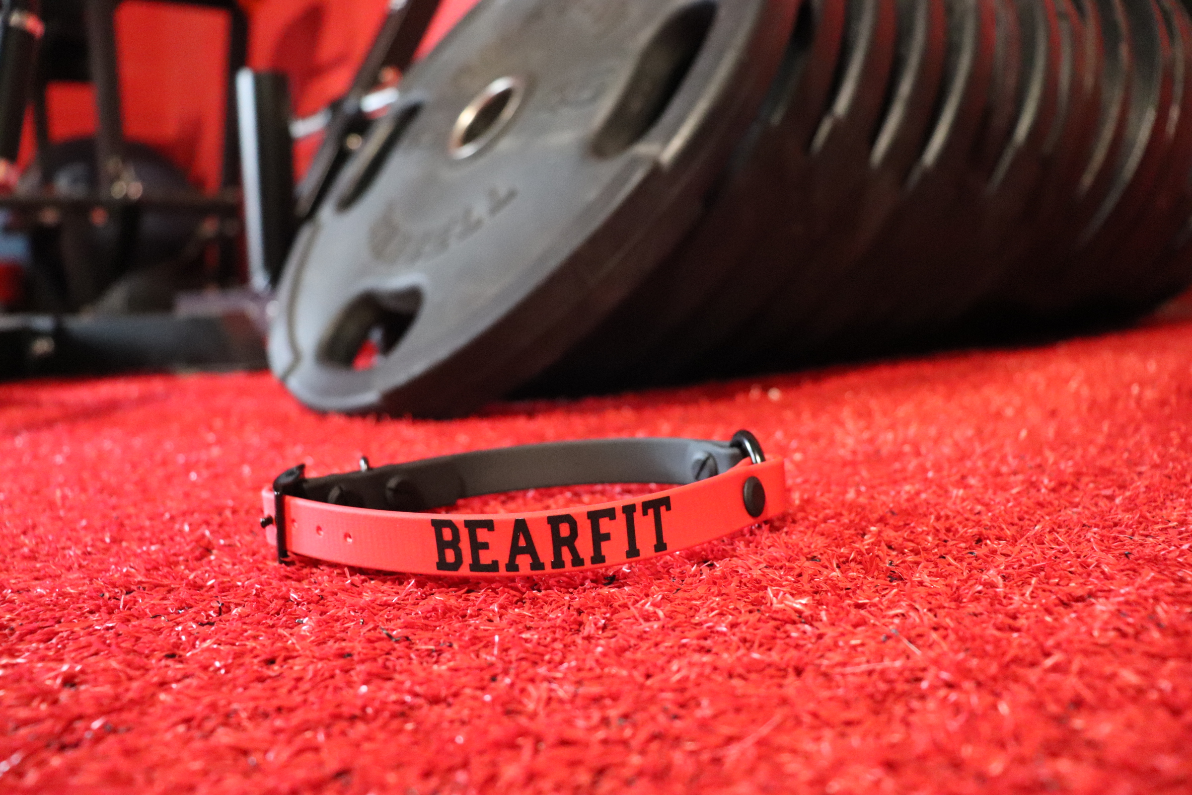 Item: Two-tone collar | Width: 5/8 in | Colors: Red & Black | Hardware: black | Custom: HTV name and phrase