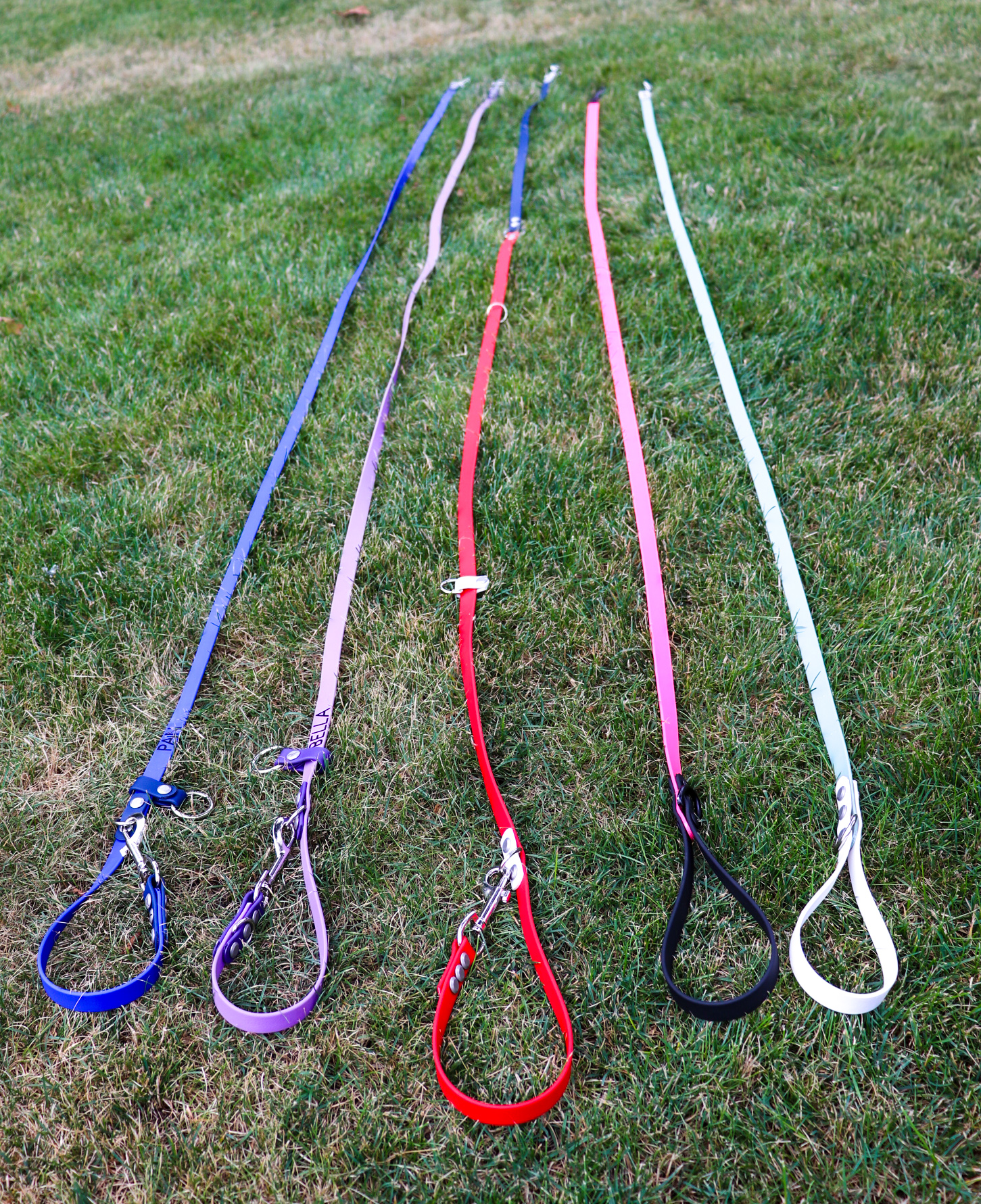 Item: Sample leash collection | Widths: 5/8 in | Colors: Multiple | Hardware: mixed | Custom: Examples of standard leashes and hands-free setups