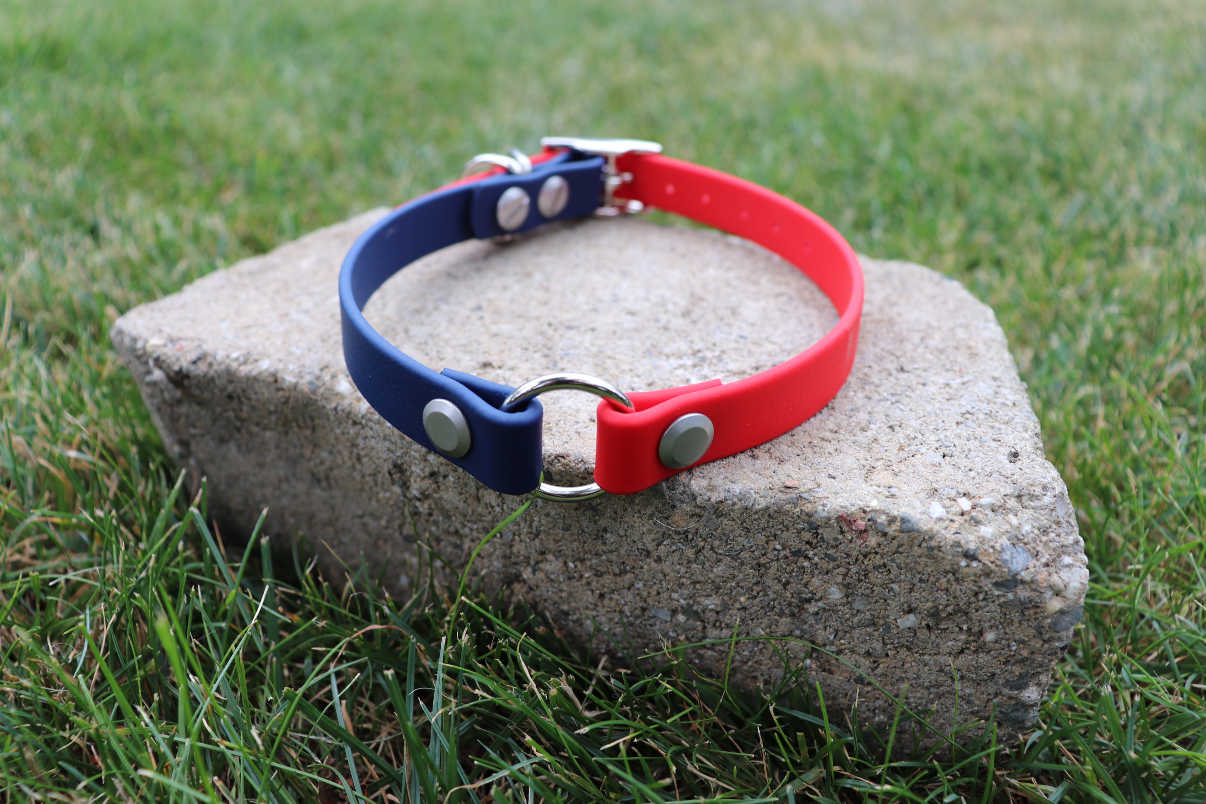 Item: Quick-release collar | Width: 5/8 in | Colors: Red & Blue | Hardware: silver | Custom: Center O-ring