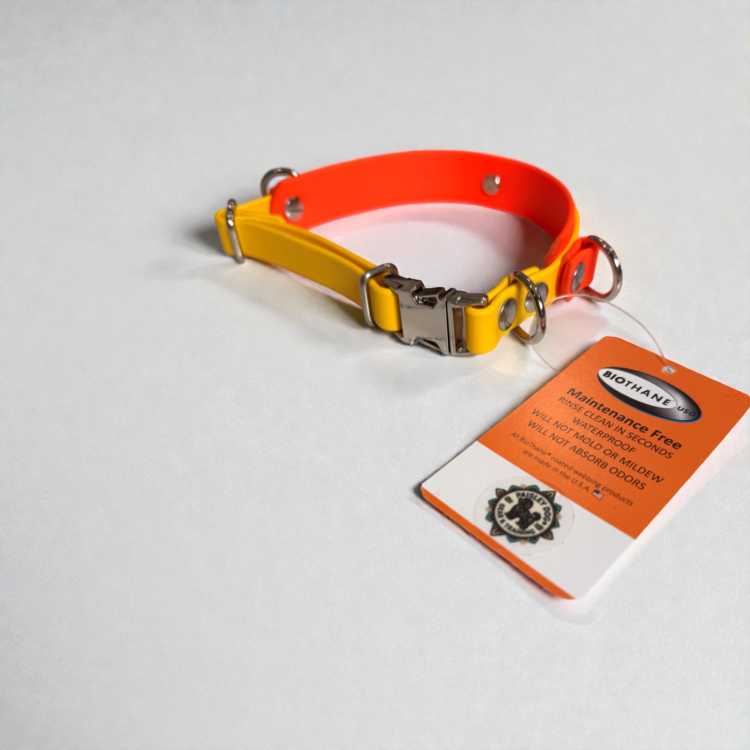 Item: Custom 2-layer collar with detachable handle | Width: Collar is 1 in & 5/8 in, handle is 5/8 in | Colors: Orange base with Yellow accent | Hardware: silver | Custom: Integrated control handle for extra grip or quick grab, plus name detail