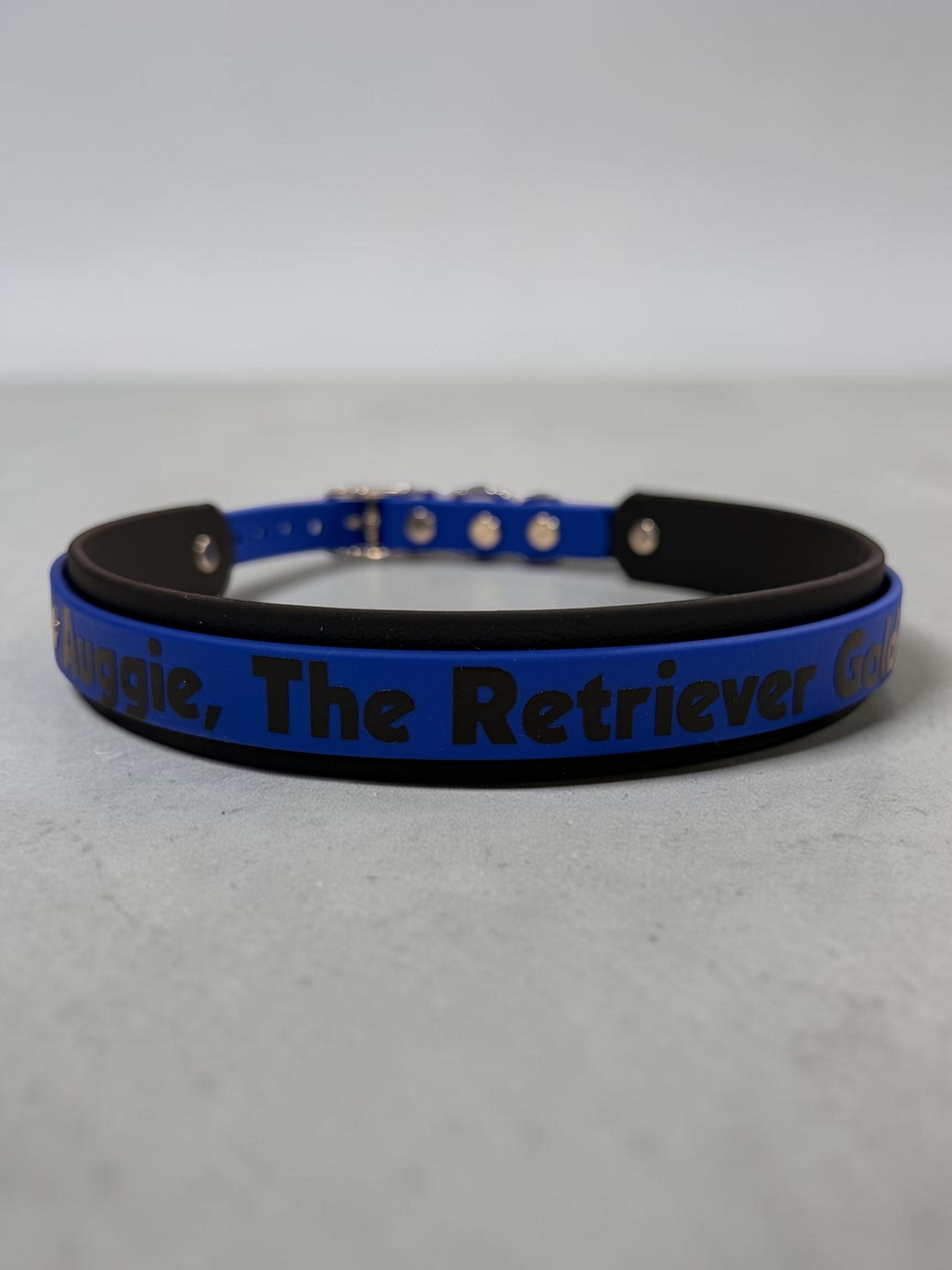 Item: Custom 2-layer collar | Width: Collar is 1 in & 5/8 in| Colors: Black base with Royal Blue accent | Hardware: silver
