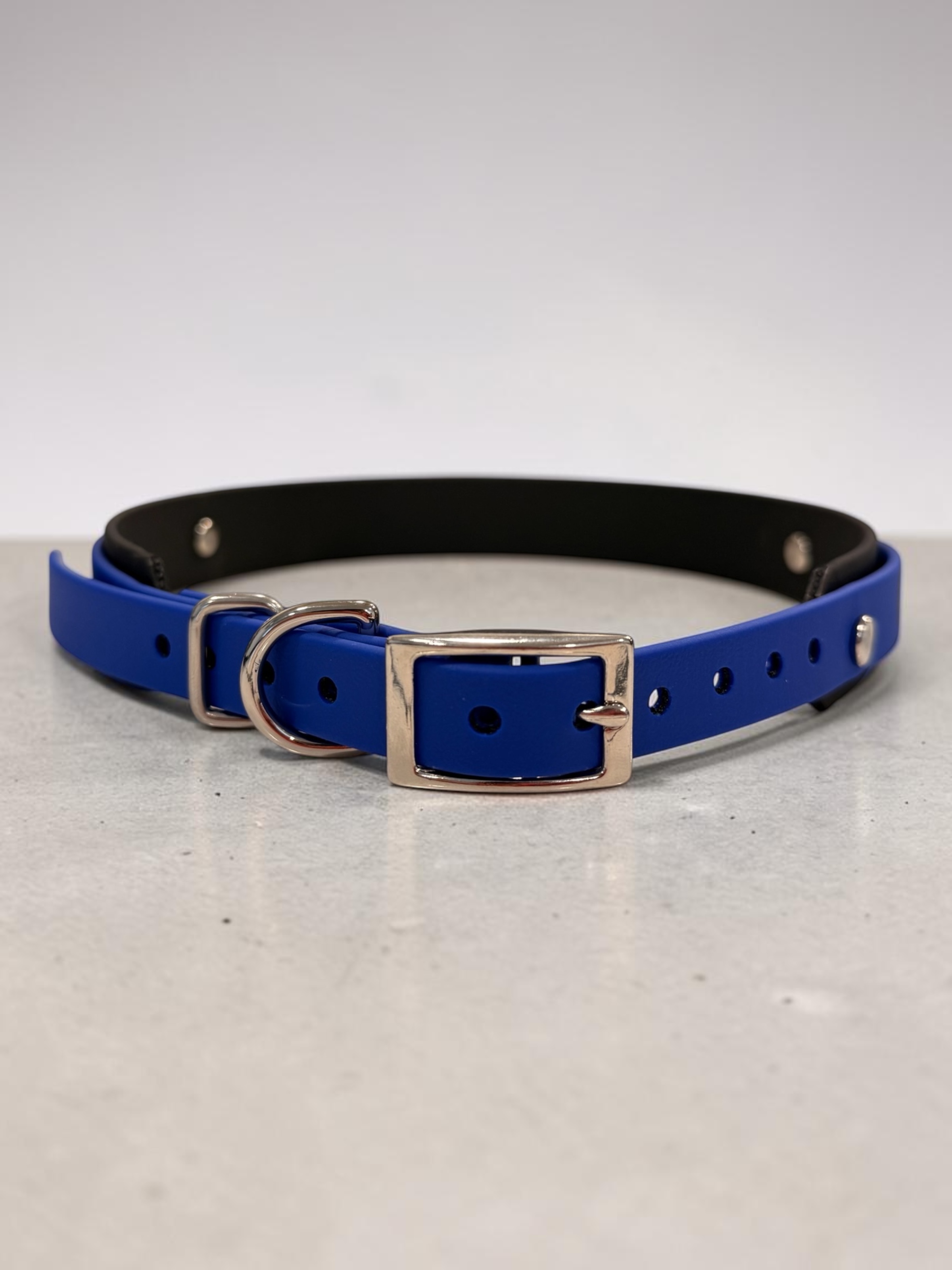 Item: Custom 2-layer collar | Width: Collar is 1 in & 5/8 in| Colors: Black base with Royal Blue accent | Hardware: silver