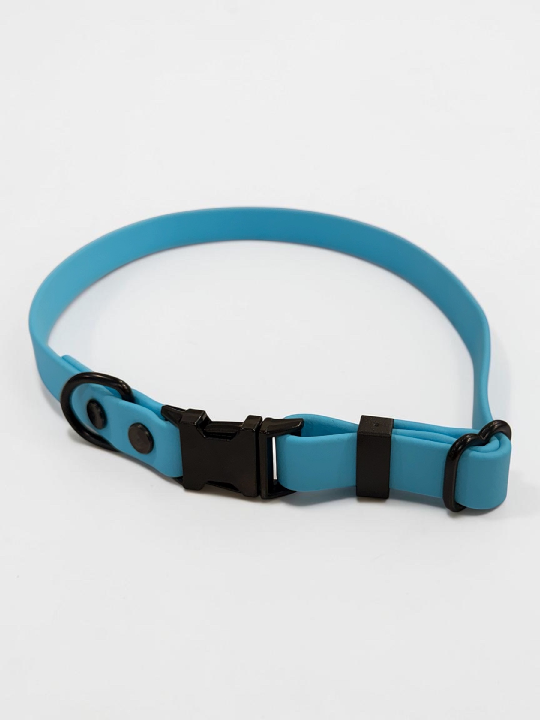 Item: Custom 5/8 in Collar with Quick Release Buckle | Width: 5/8 in | Colors: light blue | Hardware: black