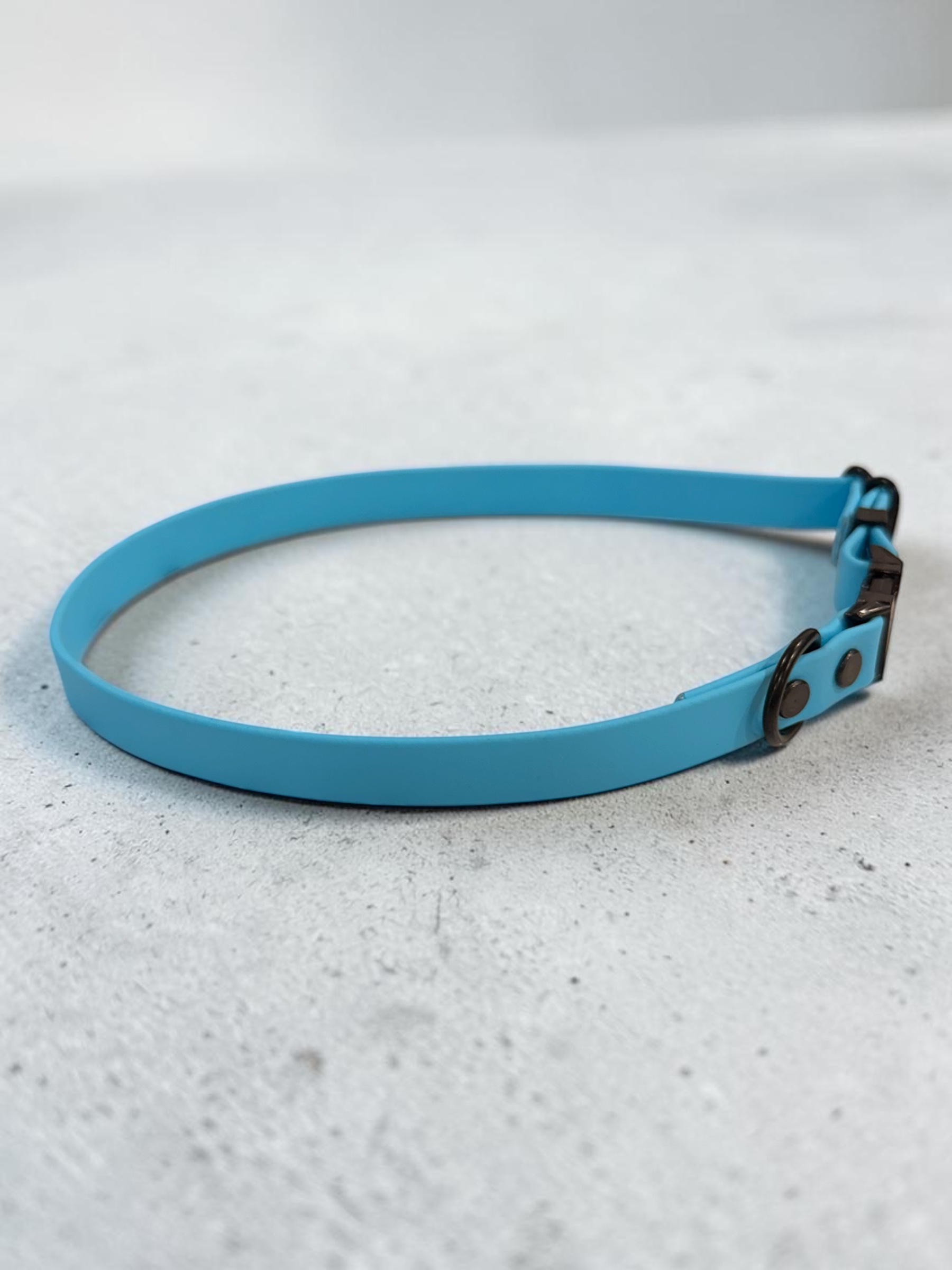 Item: Custom 5/8 in Collar with Quick Release Buckle | Width: 5/8 in | Colors: light blue | Hardware: black