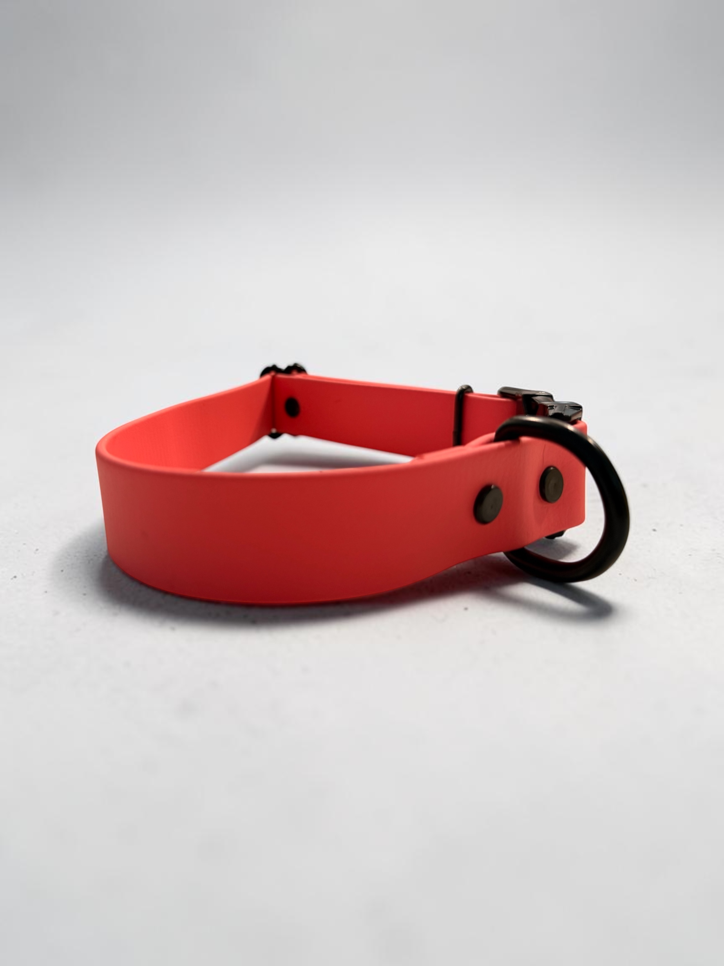 Item: Custom Side Release Buckle Collar | Width: 1 in | Colors: Pink Coral | Hardware: Black | Custom: Personalized name 