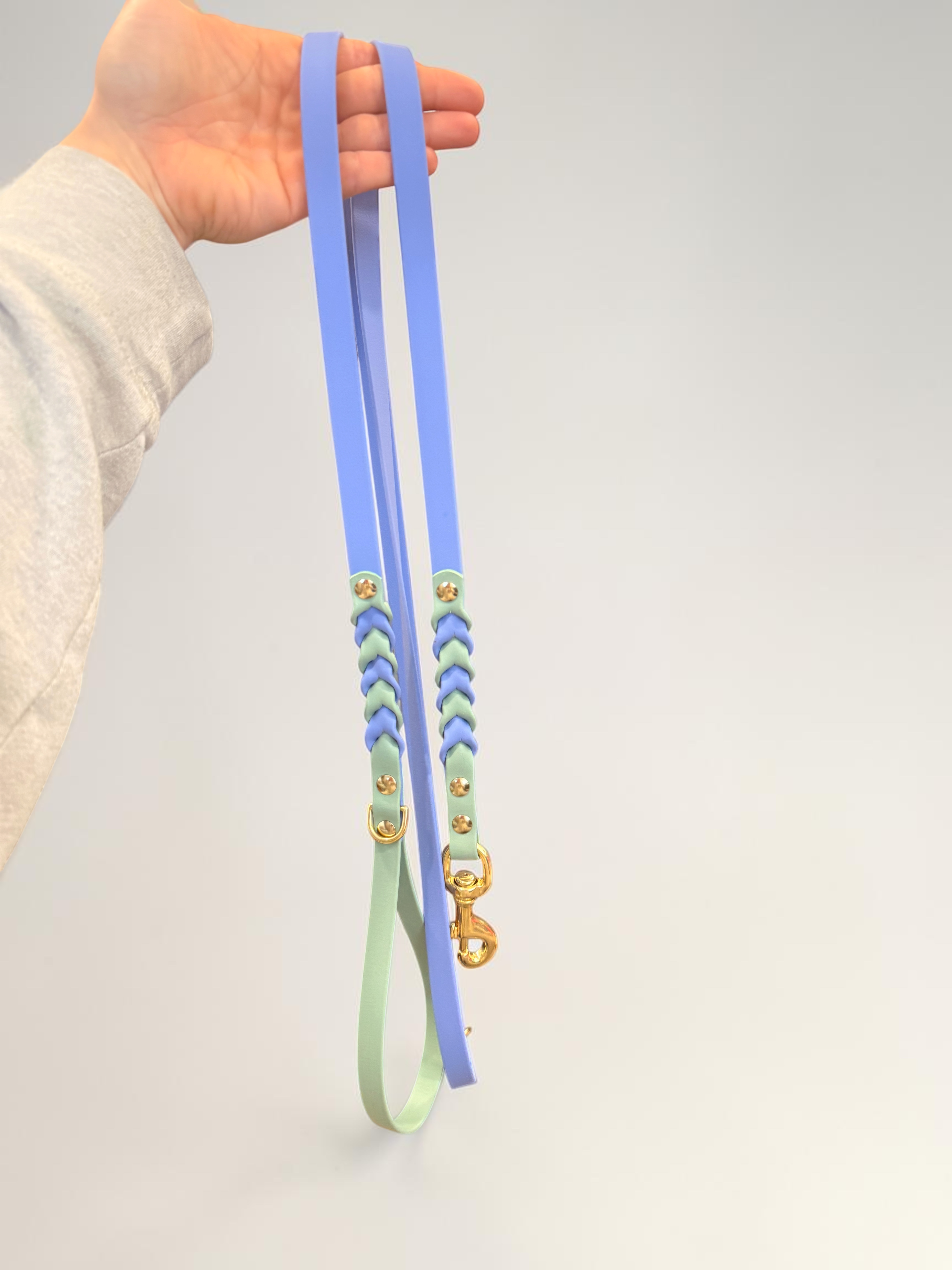 Braided Leashes