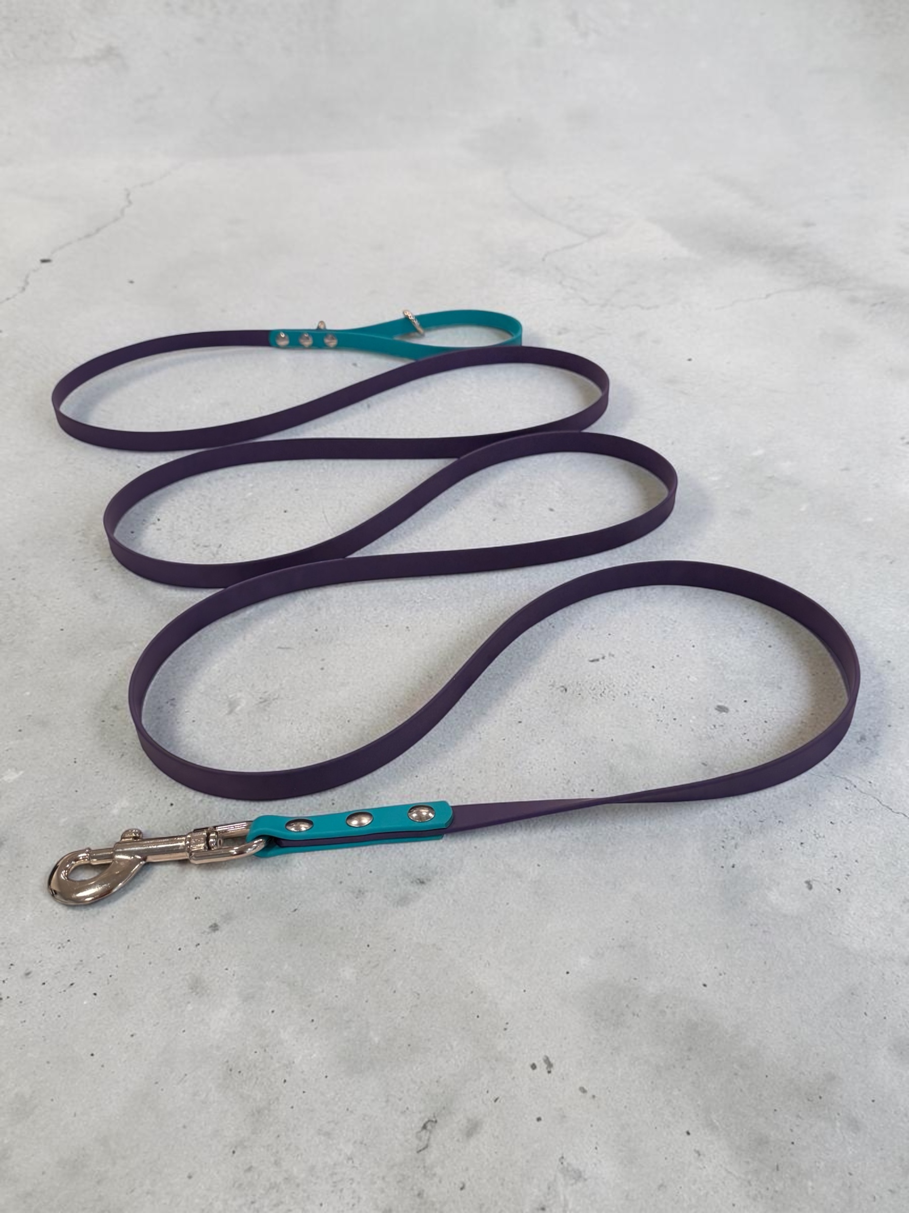 Standard Leashes