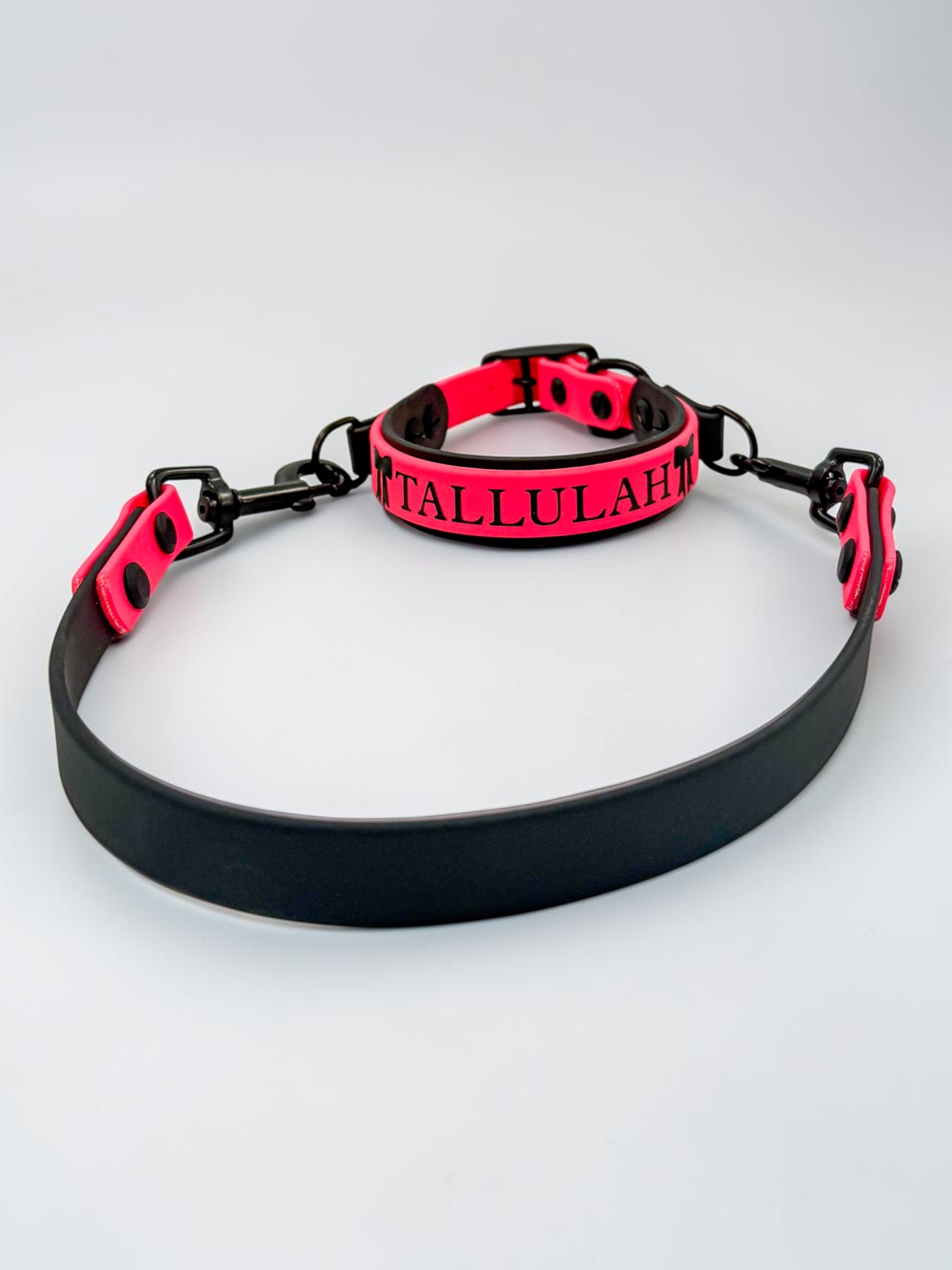 Item: Custom collar with built-in handle | Width: Collar is 1 in, handle is 5/8 in | Colors: Black base with hot-pink accent | Hardware: black | Custom: Integrated control handle for extra grip or quick grab, plus name detail