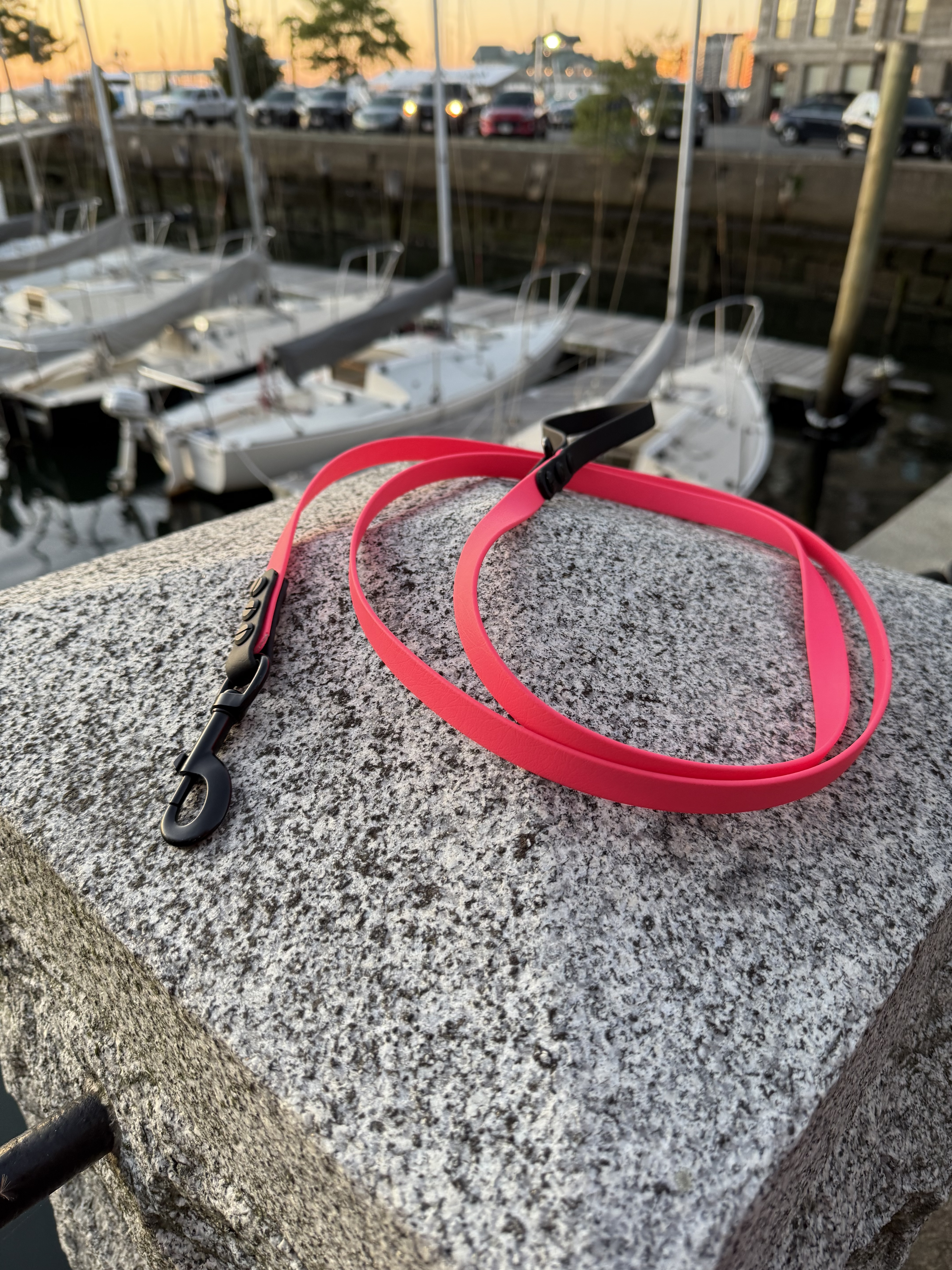 Item: Standard leash | Length: 8 ft | Width: 5/8 in | Colors: Pink & Black | Hardware: black