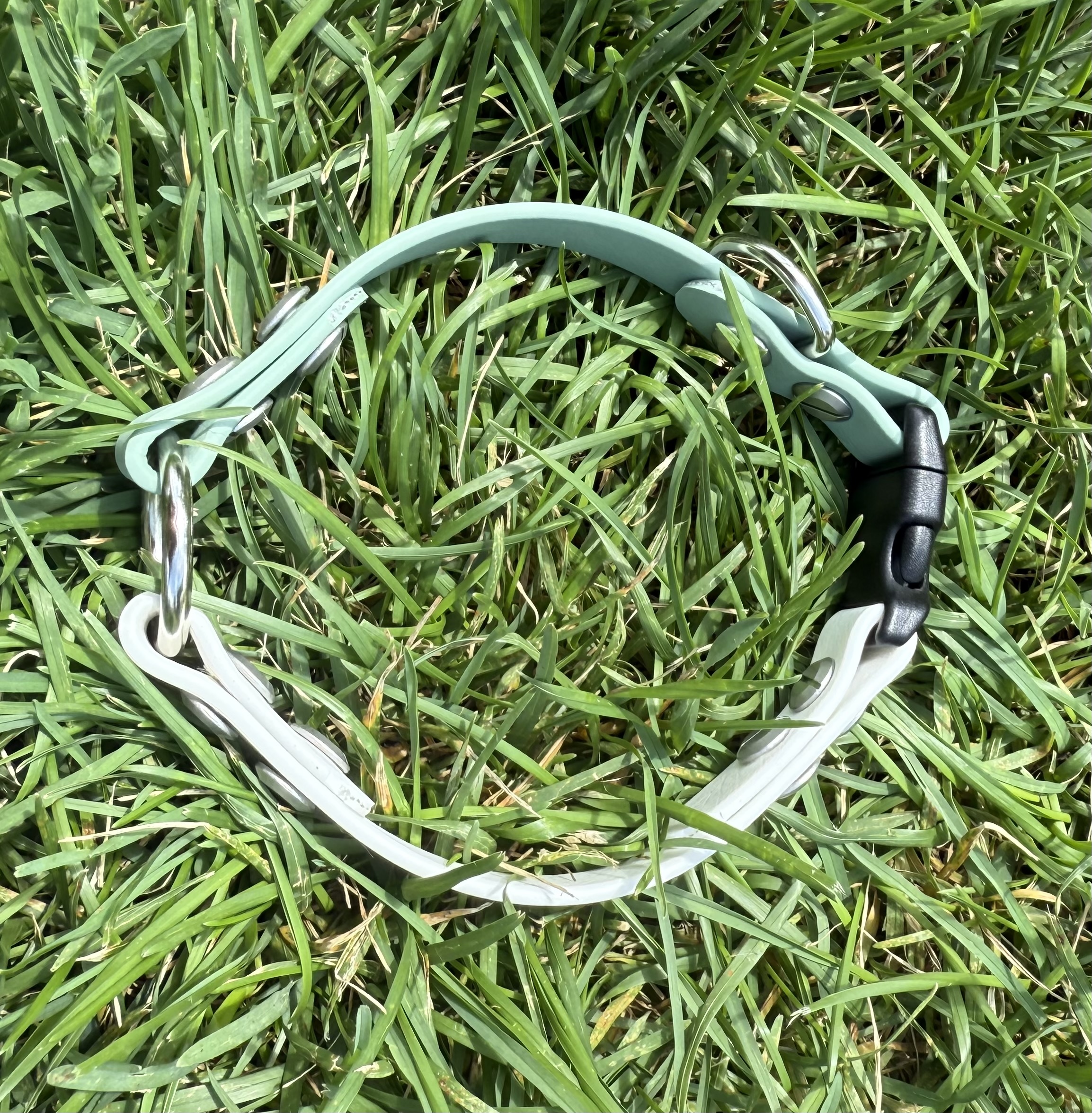 Item: Buckle collar | Width: 5/8 in | Colors: Sage & White | Hardware: silver buckle with black plastic quick-release | Custom: Center O-ring