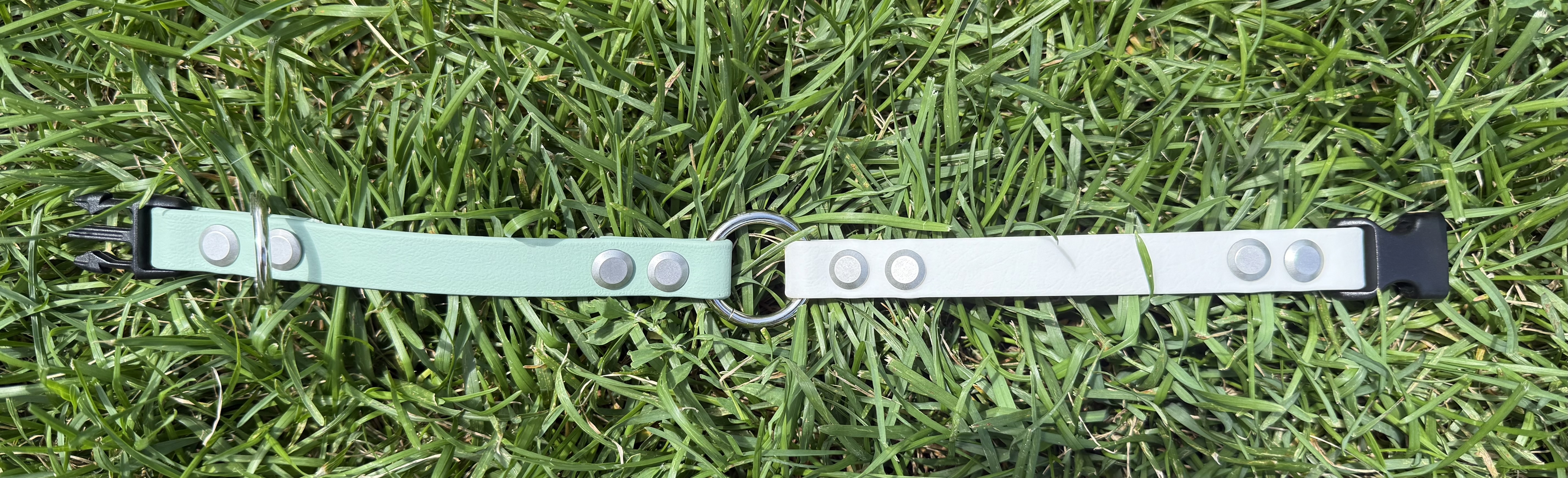 Item: Buckle collar | Width: 5/8 in | Colors: Sage & White | Hardware: silver buckle with black plastic quick-release | Custom: Center O-ring