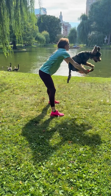 Item: Trick training - hoop jump | Details: Tully jumping through hoop arms